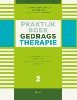 Praktijkboek gedragstherapie / Deel 2 Handboek voor cognitief gedragstherapeutisch werkers - Boek Bas van Heycop ten Ham (9461054998)