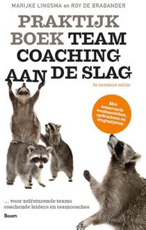 Praktijkboek Teamcoaching, aan de slag - Boek Marijke Lingsma (9024425719)