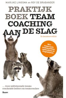 Praktijkboek Teamcoaching, aan de slag - Boek Marijke Lingsma (9024425719)