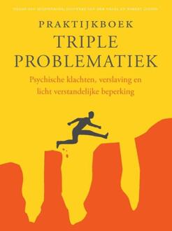 Praktijkboek Triple Problematiek