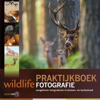 Praktijkboek wildlife fotografie - Boek Arjen Drost (9079588113)