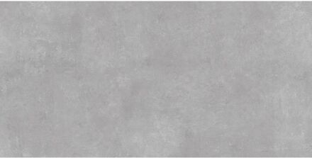 Praxis Ark Buitentegel - Betonlook - Grijs - 120x60x2cm - 1,44m²