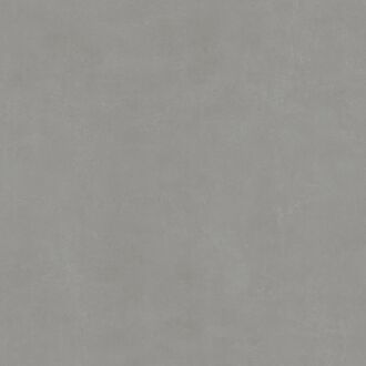 Praxis Betonlook Tegel Concept Smoke - Taupe - Mat - 88,9x88,9 Cm - 0,81 M²