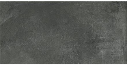 Praxis Betonlook Tegel Downtown Mist - Mist - Mat - 30x60 Cm - 1,44 M²