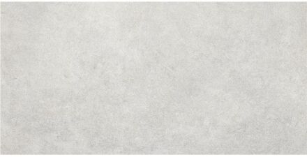 Praxis Betonlook Tegel Feroe Pearl - Grijs - Mat - 25x50 Cm - 1,63 M²