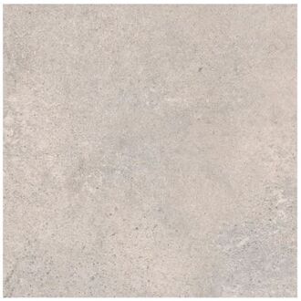 Praxis Betonlook Tegel - Grijs - Geglazuurd - 60x60 Cm - 1,08 M²