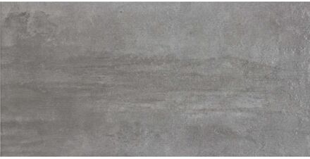 Praxis Betonlook Tegel Grunge - Kolen - Mat - 30x60 Cm - 1,44 M²