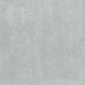 Praxis Betonlook Tegel Oasis - Grijs - Mat - 60x60 Cm - 1,08 M²