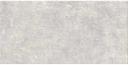 Praxis Betonlook Tegel Serenity - Grijs - Mat - 30x60 Cm - 1,60 M²