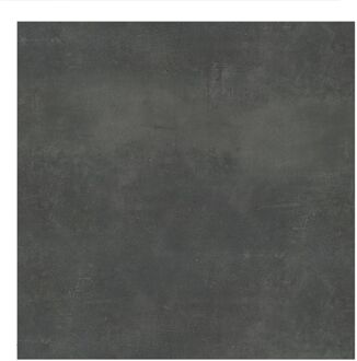 Praxis Betonlook Tegel Stark - Grafiet - Mat - 60x60 Cm - 1,80 M²