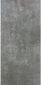 Praxis Buitentegel - Ark - Antraciet - Mat - 2 Cm - 45x90 Cm - 0,81 M²