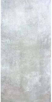 Praxis Buitentegel - Ark Beton Zilver - Grijs - 2 Cm - 120x60 Cm - 1,44 M²
