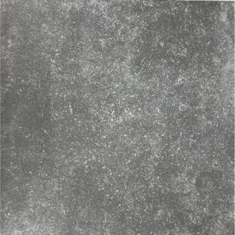 Praxis Buitentegel - Dinant - Antraciet - Mat - 2 Cm - 60x60 Cm - 0,72 M²
