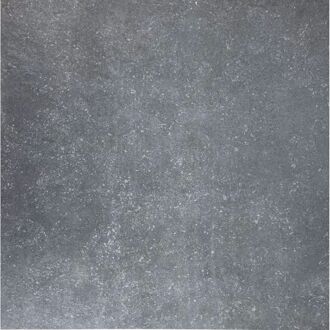Praxis Buitentegel - Dinant - Grijs - Mat - 2 Cm - 60x60 Cm - 0,72 M²