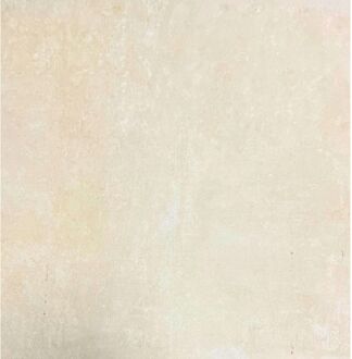 Praxis Buitentegel - Travertin - Beige - Mat - 20mm - 60x60 Cm - 0,72 M²