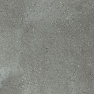 Praxis Buitentegel Urban Pro Grey - 60x60x2cm - 0,72m²