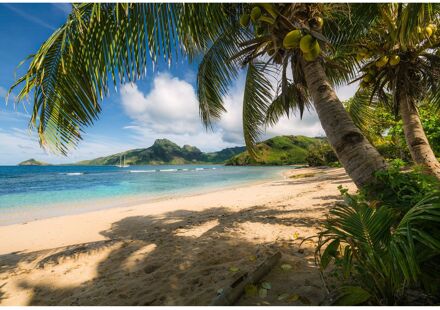 Praxis Castaway Fotobehang - Meerkleurig - 2,54m X 368cm