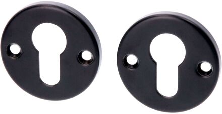 Praxis Cilinderplaat Aluminium Zwart 2 Stuks