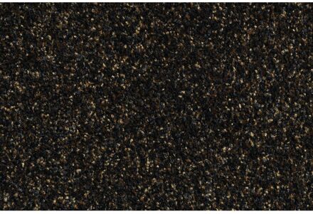 Praxis Deurmat Briljant Bruin 40x60cm