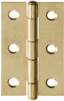 Praxis Deurscharnier - Massief Messing - 50x32 Mm - 2 Stuks