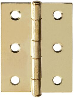 Praxis Deurscharnier - Messing Verchroomd Staal - 50x39 Mm - 4 Stuks