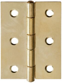 Praxis Deurscharnier - Messinggecoat Staal - 60x46 Mm - 2 Stuks