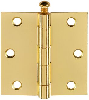 Praxis Deurscharnier - Messingkleurig Staal - 76x76 Mm - Met Rechte Hoeken