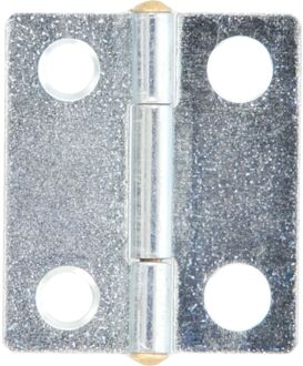 Praxis Deurscharnier Met Vaste Pen - Verzinkt Staal - 30x30 Mm - 4 Stuks