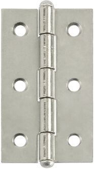 Praxis Deurscharnier - Rvs - 60x34 Mm - 2 Stuks