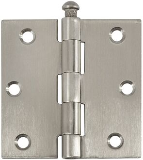 Praxis Deurscharnier - Rvs - 76x76 Mm - Met Rechte Hoeken