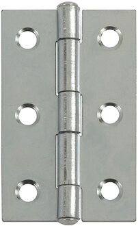 Praxis Deurscharnier - Verzinkt Staal - 50x31 Mm - 4 Stuks