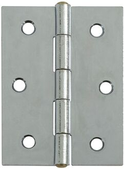 Praxis Deurscharnier - Verzinkt Staal - 51x70 Mm - 2 Stuks