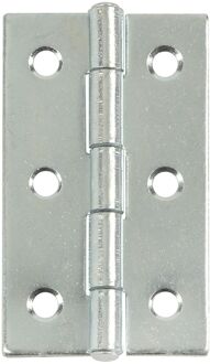 Praxis Deurscharnier - Verzinkt Staal - 60x34 Mm - 6 Stuks