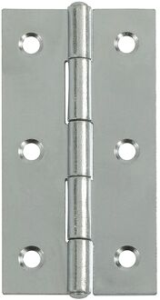 Praxis Deurscharnier - Verzinkt Staal - 80x42 Mm - 2 Stuks