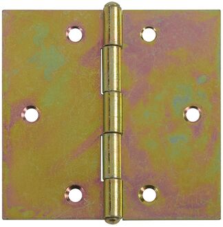 Praxis Deurscharnier - Verzinkt Staal - 80x80 Mm - 2 Stuks
