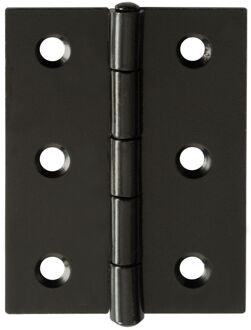 Praxis Deurscharnier - Zwart Staal - 60x46 Mm - 2 Stuks