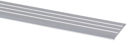 Praxis Drempelprofiel - Aluminium Zilver - 25x2mm 0,95m - Zelfklevend