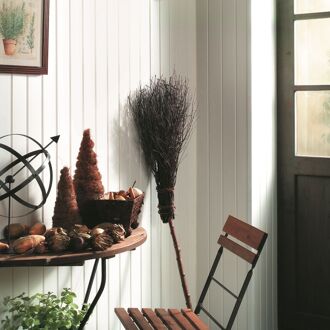 Praxis Dumaplast Wandbekleding Dumapan Wit 10x260cm