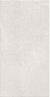 Praxis Evolution Wandtegel - Lichtgrijs - Glanzend - 34x66,5 Cm - 1,13 M²