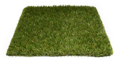 Praxis Exelgreen Kunstgras Hopper 20 Mm - 200x400cm