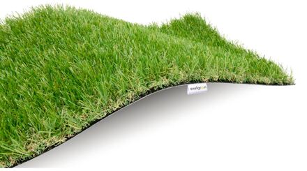 Praxis Exelgreen Kunstgras Lawn 3cm 1x3m