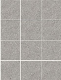 Praxis Fossiel Wandtegel - Grijs - Glanzend - 10x10 Cm - 0,50 M²