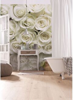 Praxis Fotobehang - A la Rose 368x254cm - Papierbehang Multikleur