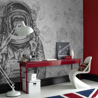 Praxis Fotobehang Aap In Ruimtepak 14218 - Grijs - 2,70m X 300cm