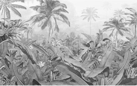 Praxis Fotobehang Amazonia Black and White 400x250 cm Multikleur