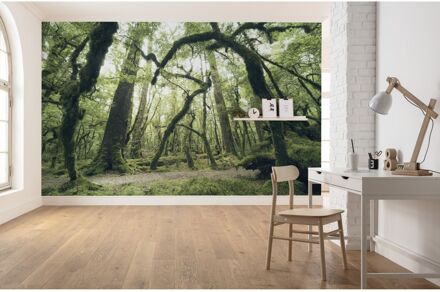 Praxis Fotobehang - Ancient Green 450x280cm - Vliesbehang Multikleur