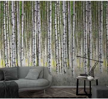 Praxis Fotobehang Berkenbos - Off-white - Groen - Grijs - 2,70m X 159cm