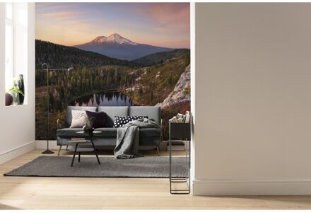 Praxis Fotobehang - Between the Light 450x280cm - Vliesbehang Multikleur