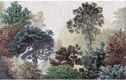 Praxis Fotobehang - Bois Brumeux 400x250cm - Vliesbehang Multikleur