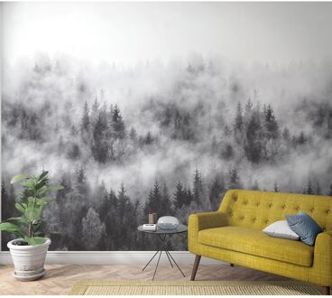 Praxis Fotobehang Bos In De Mist - Grijs - Zwart - Wit - 2,70m X 159cm